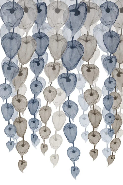 Natural Lantern Cascade I