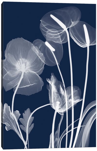 Navy Flora I Canvas Art Print - Albert Koetsier