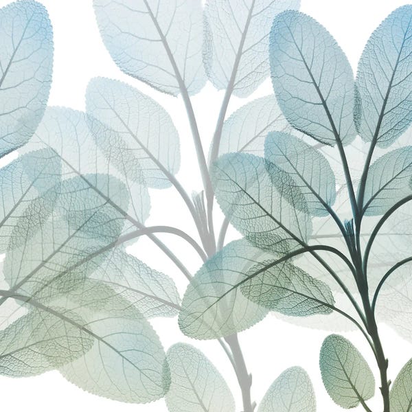 A.D. Lines Eurogroup Inc.: Resilient Growth II by Albert Koetsier