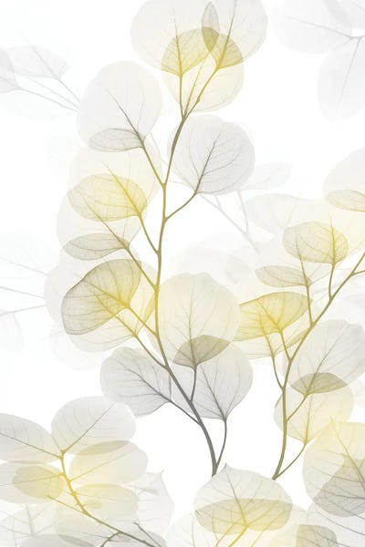 A.D. Lines Eurogroup Inc.: Bright Reach I by Albert Koetsier