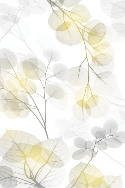 A.D. Lines Eurogroup Inc.: Bright Reach II by Albert Koetsier