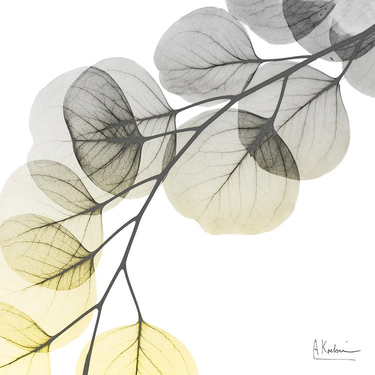 Brilliant Eucalyptus I by Albert Koetsier wall art