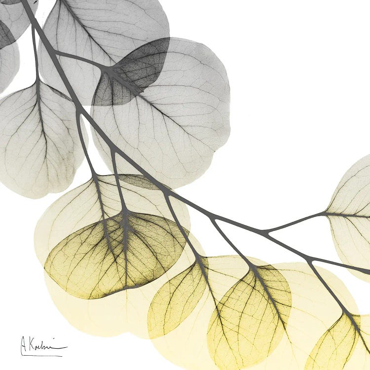 Brilliant Eucalyptus II by Albert Koetsier wall art