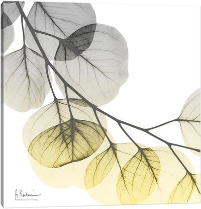 Brilliant Eucalyptus II Canvas Art Print - Gray & Yellow Art