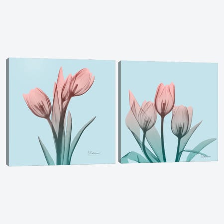Awakening Tulips Diptych Canvas Print Set #ALK2HSET001} by Albert Koetsier Canvas Wall Art