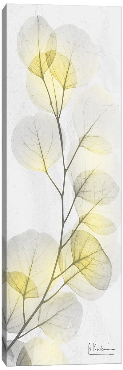 Eucalyptus Sunshine I Canvas Art Print - Gray & Yellow Art