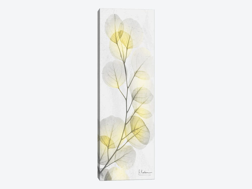 Eucalyptus Sunshine I by Albert Koetsier 1-piece Canvas Art Print