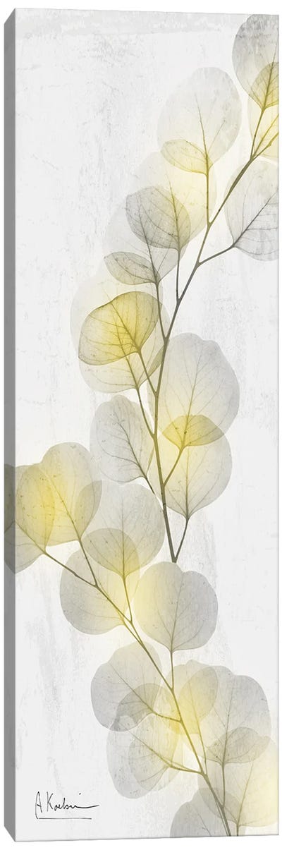 Eucalyptus Sunshine II Canvas Art Print - Gray & Yellow Art