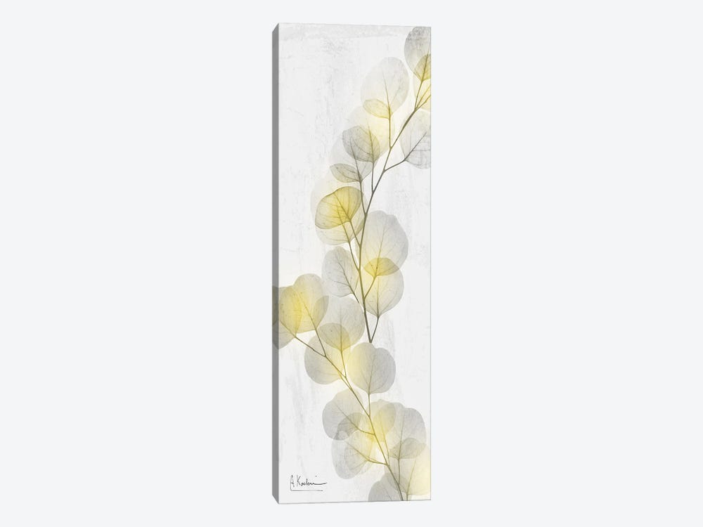 Eucalyptus Sunshine II by Albert Koetsier 1-piece Canvas Artwork