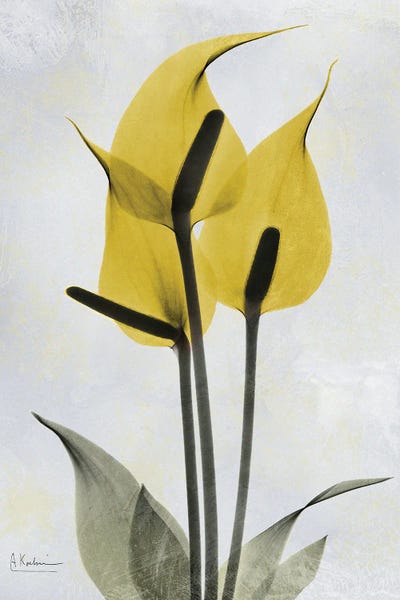 2021 | Ultimate Gray & Illuminating: Golden Flamingo by Albert Koetsier