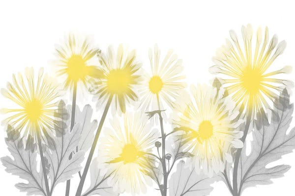 A.D. Lines Eurogroup Inc.: Illuminated Brilliance I by Albert Koetsier