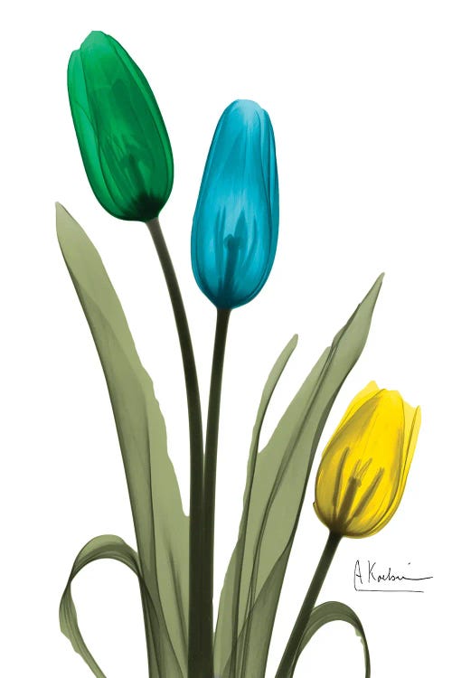 Jeweled Tulip Trio I