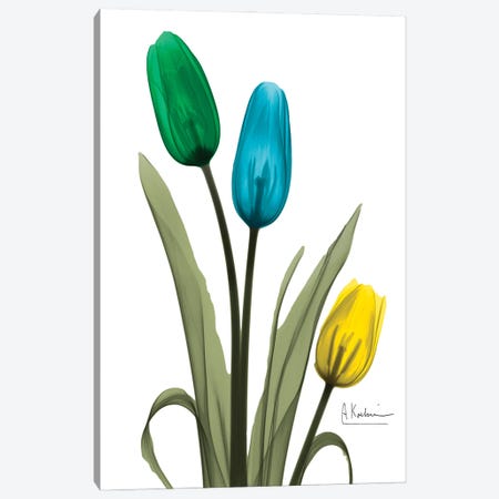 Jeweled Tulip Trio I Canvas Print #ALK319} by Albert Koetsier Canvas Artwork