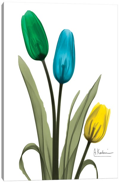 Jeweled Tulip Trio I Canvas Art Print - Tulip Art