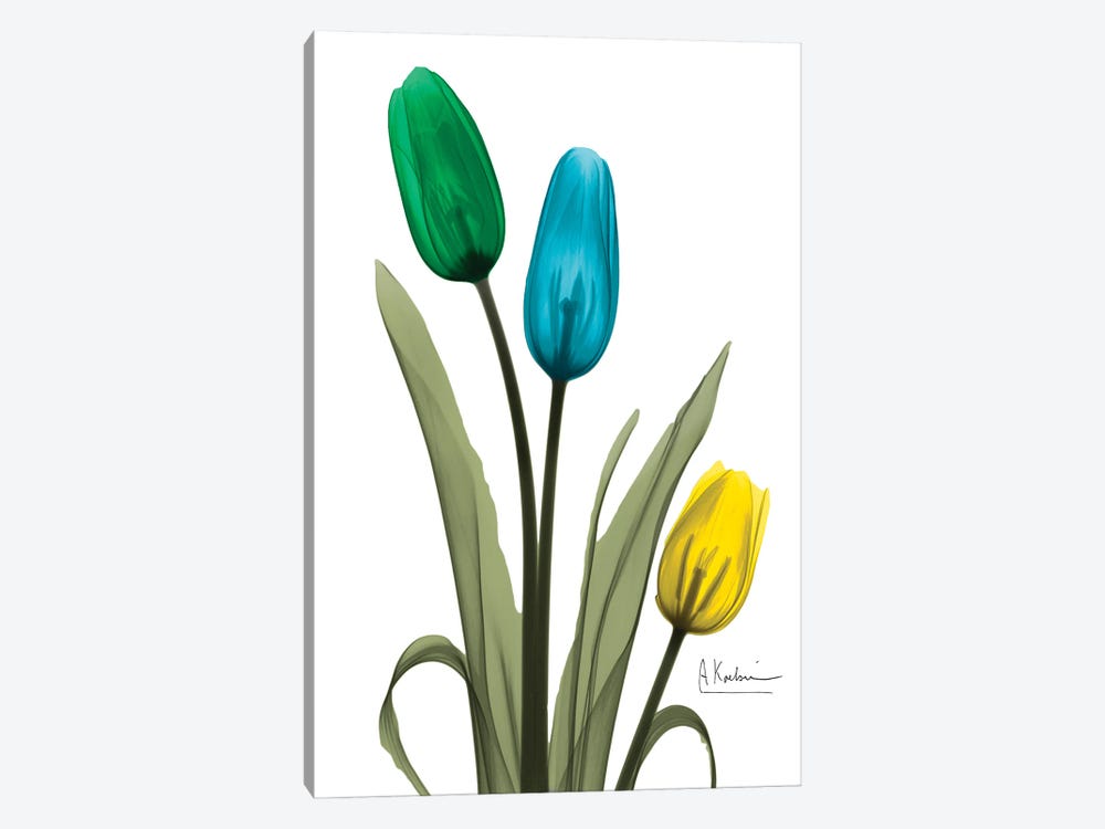 Jeweled Tulip Trio I by Albert Koetsier 1-piece Art Print