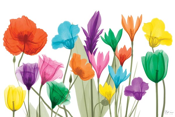 A.D. Lines Eurogroup Inc.: Pretty Floral Jewels I by Albert Koetsier