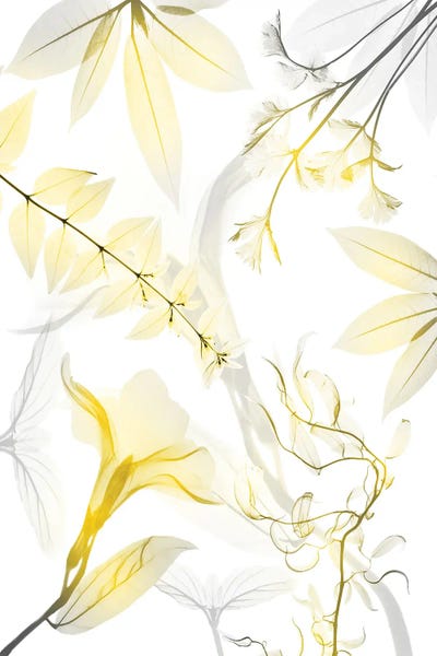 A.D. Lines Eurogroup Inc.: Reaching Brightness I by Albert Koetsier