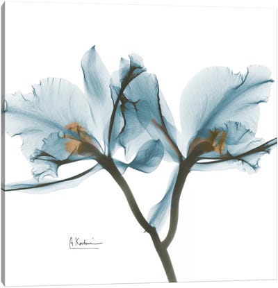 Blue Orchid Canvas Art Print - Home Staging Bathroom