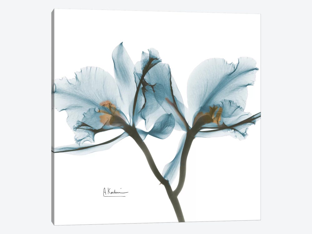 Blue Orchid by Albert Koetsier 1-piece Canvas Artwork