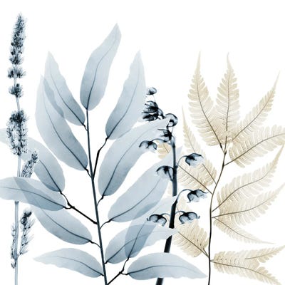 Dusk And Dawn I by Albert Koetsier framed canvas print