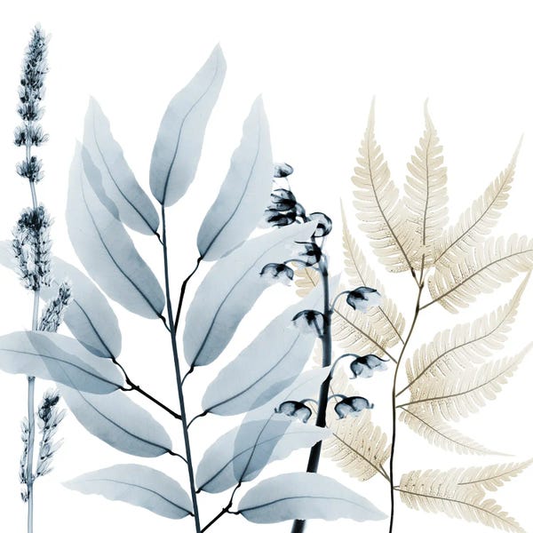 A.D. Lines Eurogroup Inc.: Dusk And Dawn I by Albert Koetsier