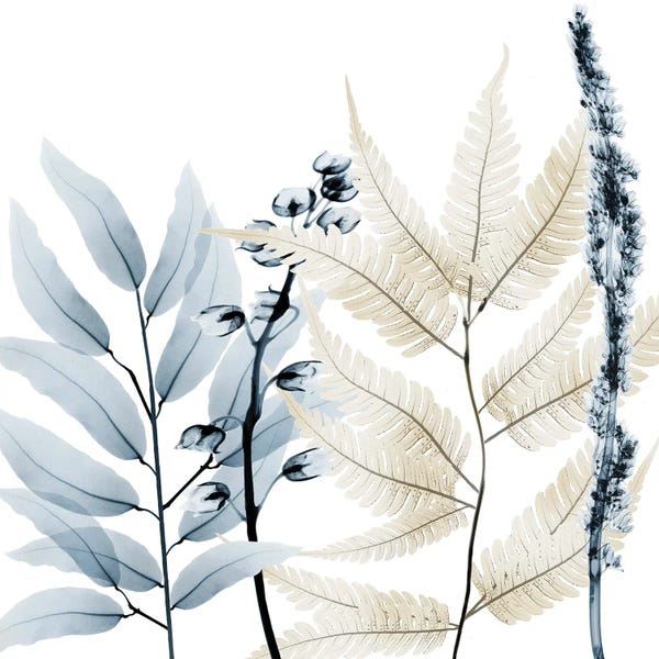 A.D. Lines Eurogroup Inc.: Dusk And Dawn II by Albert Koetsier