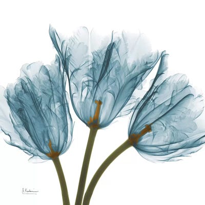 Blue Tulips by Albert Koetsier art print