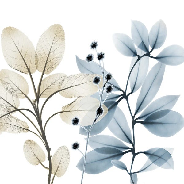 A.D. Lines Eurogroup Inc.: Solar Opposites I by Albert Koetsier