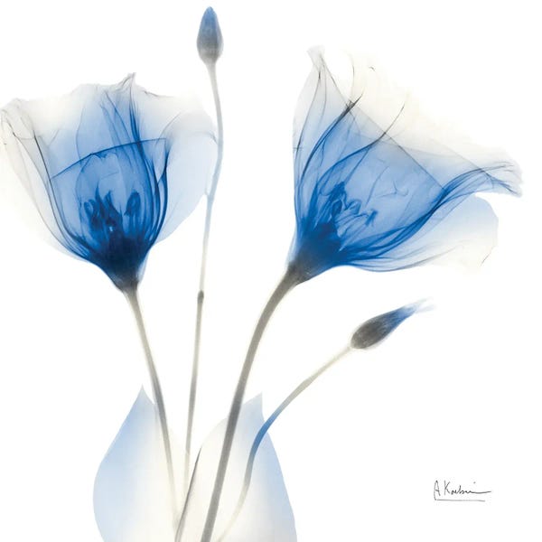 Deep Indigo Harvest II