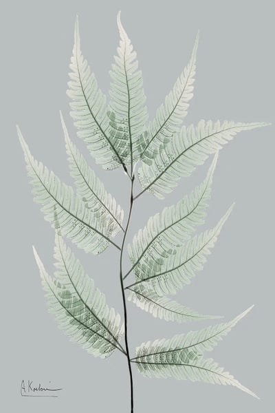 Endless Combination II