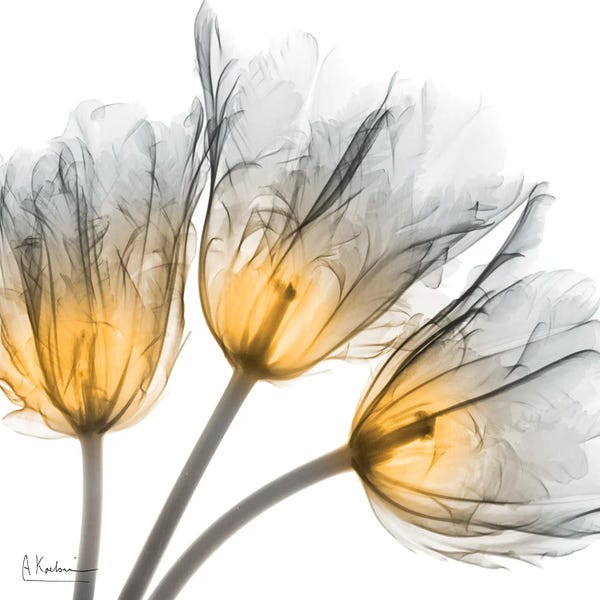 A.D. Lines Eurogroup Inc.: Explosive Growth by Albert Koetsier