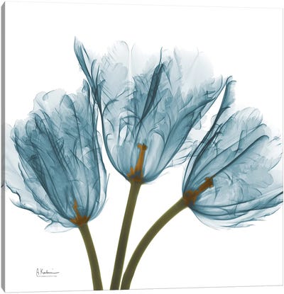 Blue Tulips Canvas Art Print - Tulip Art