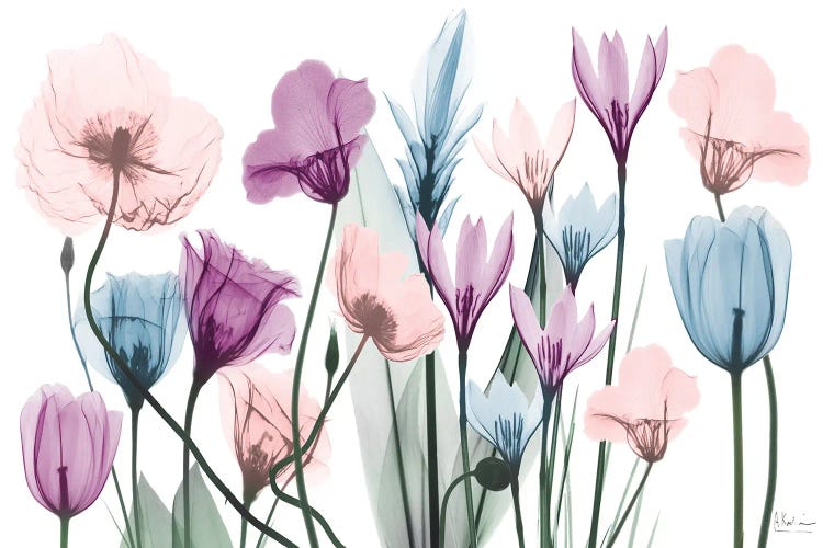 Glacier Floral Breeze I by Albert Koetsier wall art