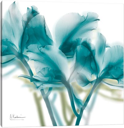 Harbor Blue Beauty II Canvas Art Print - Albert Koetsier