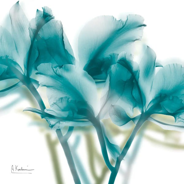 A.D. Lines Eurogroup Inc.: Harbor Blue Beauty II by Albert Koetsier