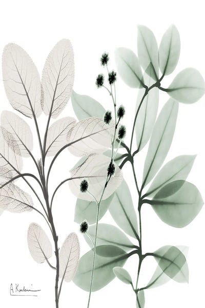 A.D. Lines Eurogroup Inc.: Northern Opposites I by Albert Koetsier