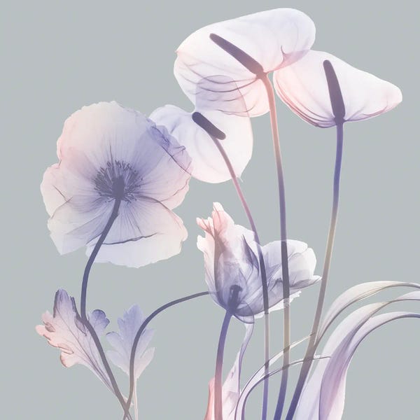 A.D. Lines Eurogroup Inc.: Perfectly Combined Flora II by Albert Koetsier