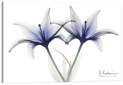 Very Peri Lily Canvas Art Print - Lily Art