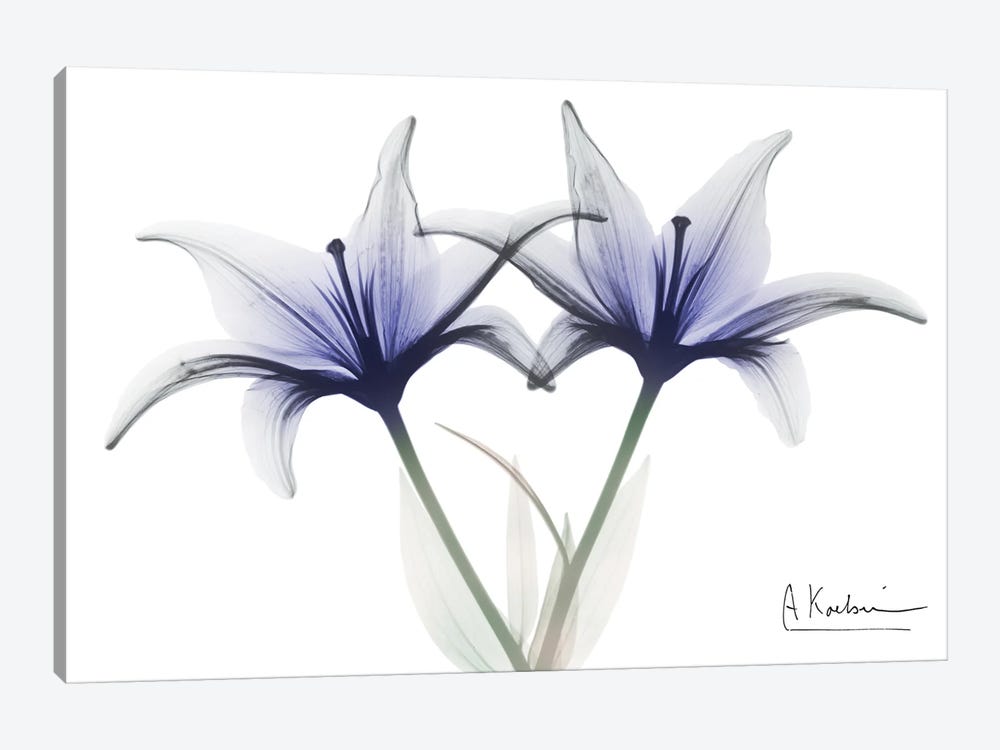 Very Peri Lily by Albert Koetsier 1-piece Canvas Print