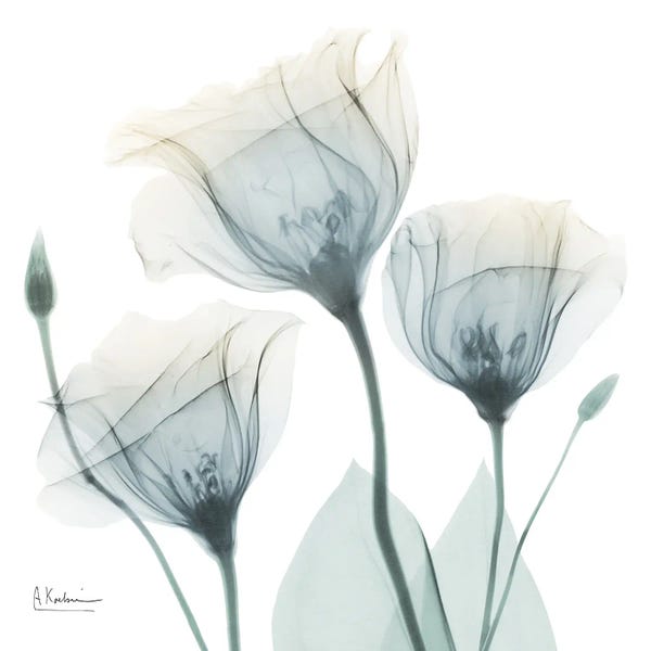 A.D. Lines Eurogroup Inc.: Colorful Glorious Courage I by Albert Koetsier