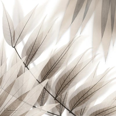 Divine Fate I by Albert Koetsier framed canvas print