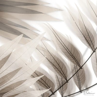 Divine Fate II by Albert Koetsier framed canvas print