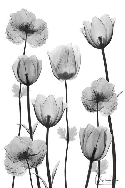 Exclusive Contentment I by Albert Koetsier framed canvas print