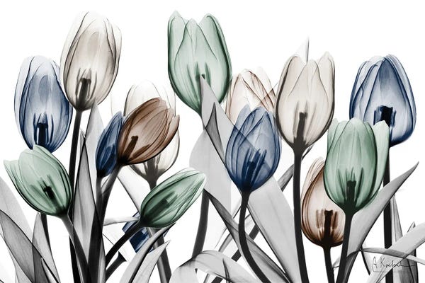 A.D. Lines Eurogroup Inc.: Exhilarated Potential by Albert Koetsier