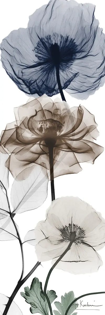 Glorious Preparation I by Albert Koetsier framed canvas print