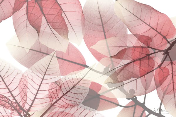 Fine Art Print: Limitless Bunch III by Albert Koetsier
