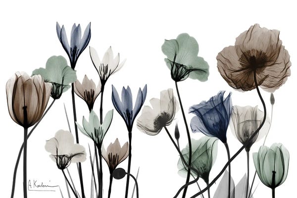 A.D. Lines Eurogroup Inc.: Oblivious Surprise by Albert Koetsier