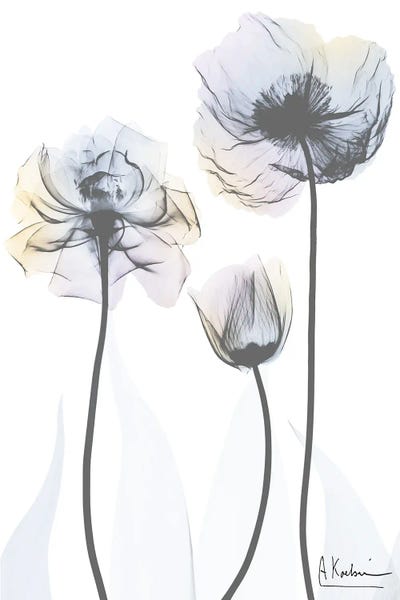 A.D. Lines Eurogroup Inc.: Obsequious Servant I by Albert Koetsier