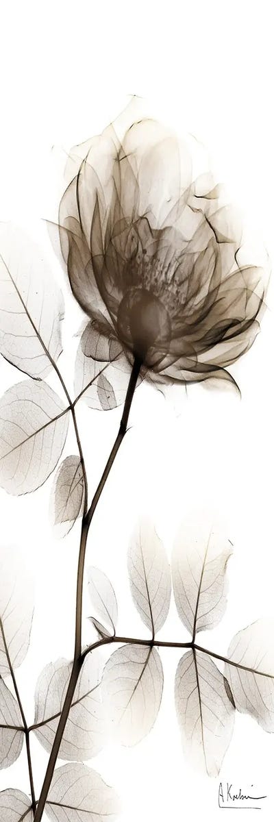 Spirited Treatment I by Albert Koetsier framed canvas print