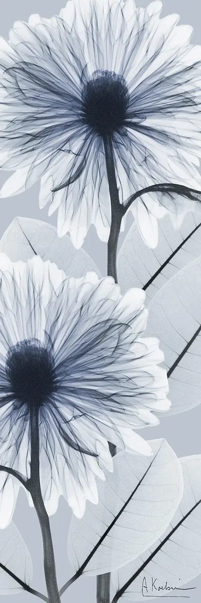 Utopian Friend II by Albert Koetsier framed canvas print